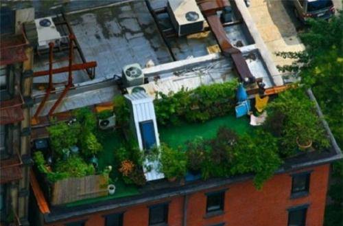 باغی روی پشت بام - بام سبز